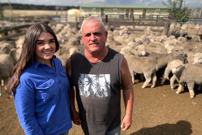 A father and daughter stand in the paddock with sheep.