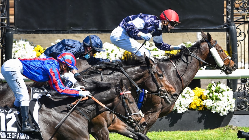 Three jockeys aboard three horses crossing the line in the Melbourne Cup.