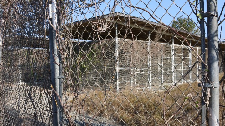 Overgrown Camp X-ray at Guantanamo Bay prison, Cuba.