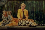 A woman in a yellow jacket poses for a photograph with a tiger.