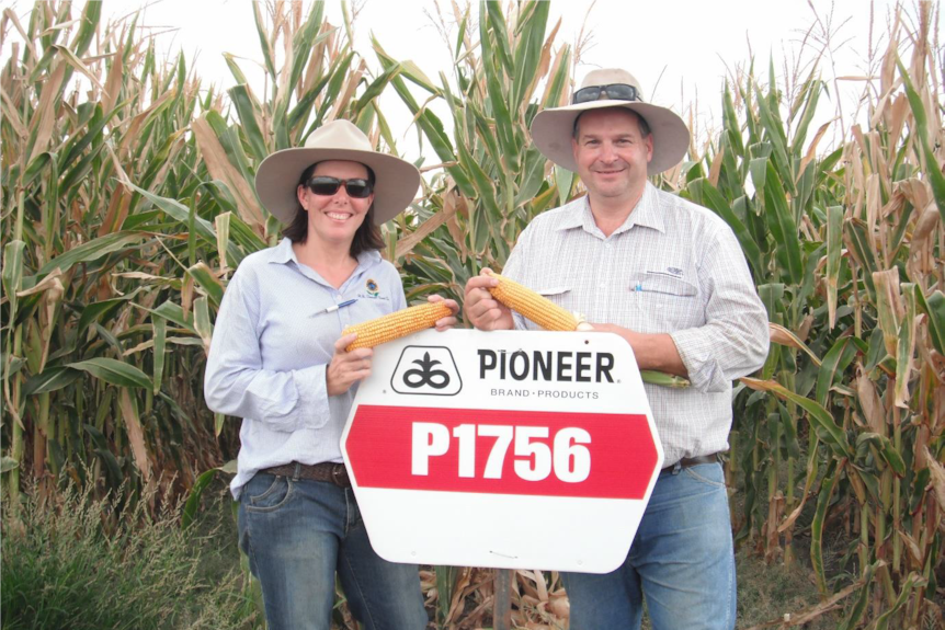 A mid shot of a man and woman standing in front of corn crop