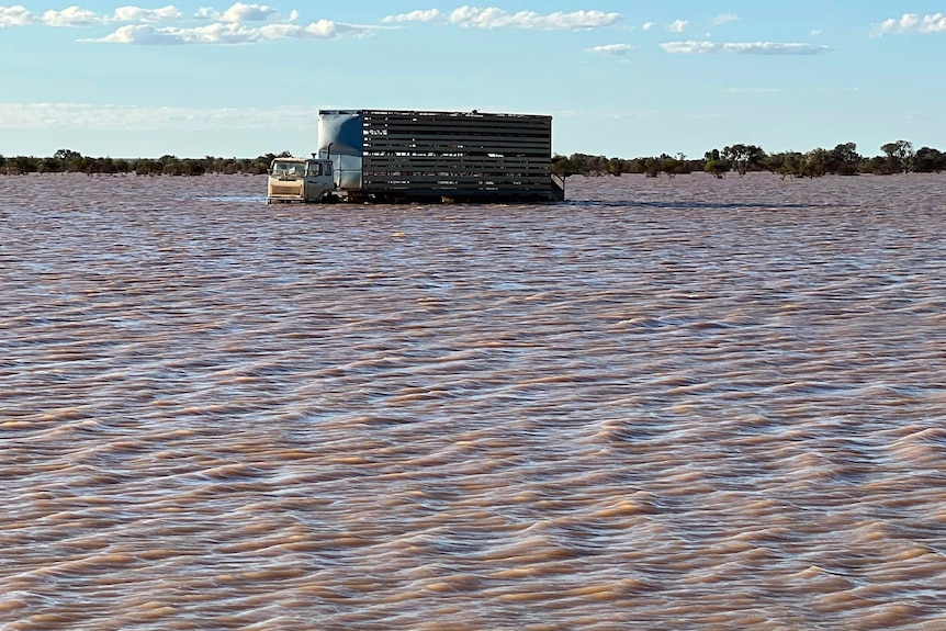 A truck surrounded by floodwaters in the outback.  