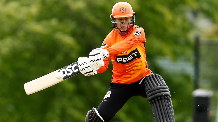 A Perth Scorchers WBBL batter plays a stroke during a match against Melbourne Renegades.