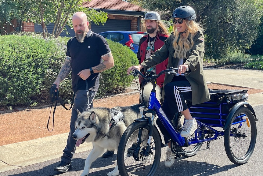A blond woman on an adult-sized tricycle as two men and a dog walk beside her.
