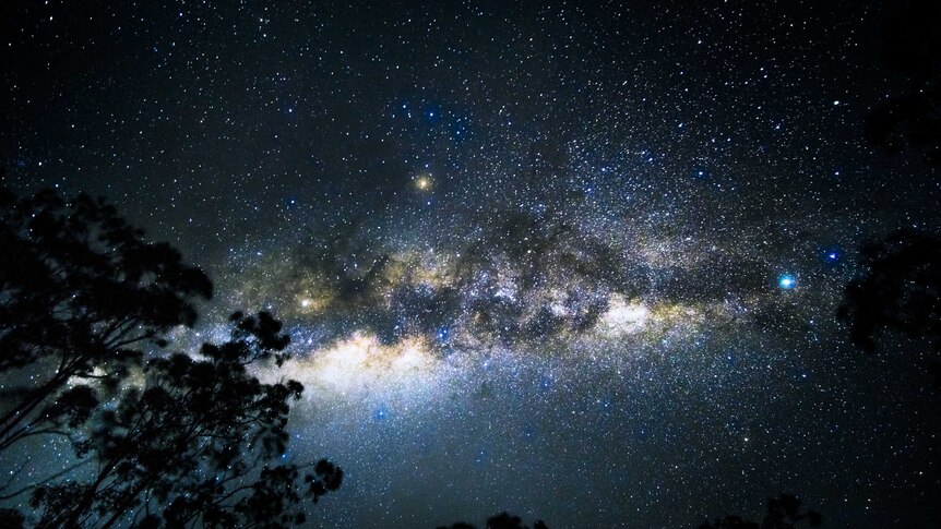 Milky Way and trees