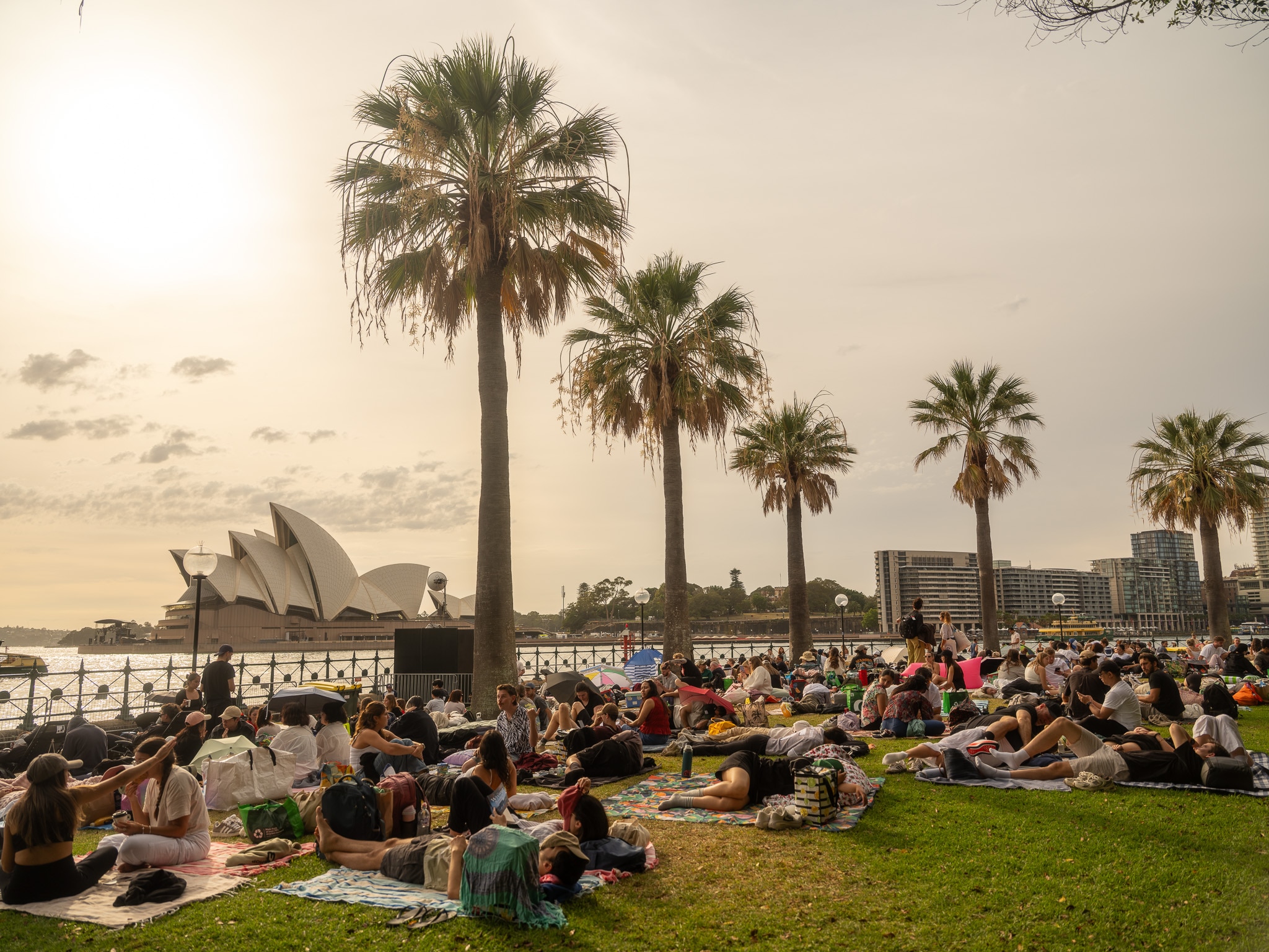 A crowd of people sitting on a grass area, the Sydney Opera House in the background.