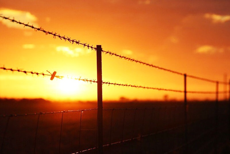 Sunset viewed through barbed wire