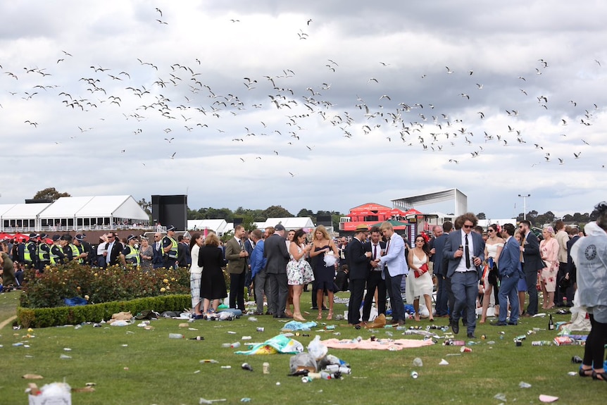 Swarm of seagulls fly over Melbourne Cup crowd and police