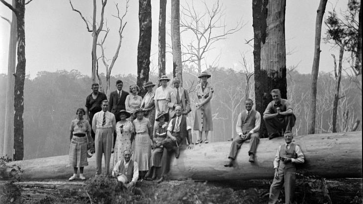 black and white - men and women in suits and dresses standing on a log in a forest