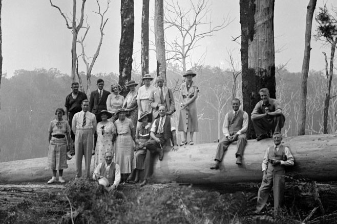 black and white - men and women in suits and dresses standing on a log in a forest