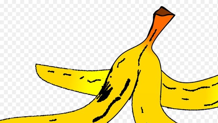 cartoon picture of banana skin