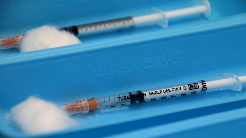 Needles containing the COVID vaccine sit in shallow blue plastic containers ready to be injected.