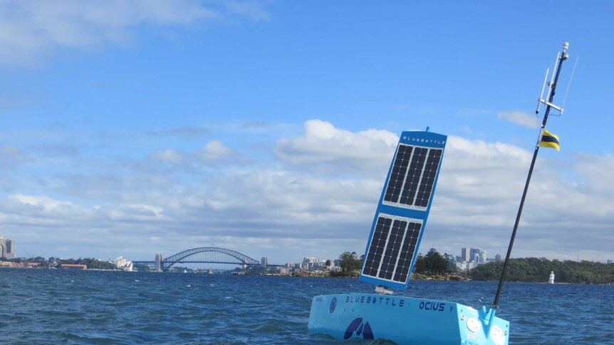 An autonomous boat heads towards the Sydney Harbour Bridge