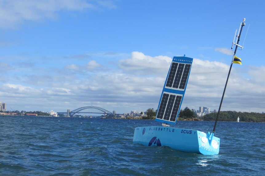 An autonomous boat heads towards the Sydney Harbour Bridge