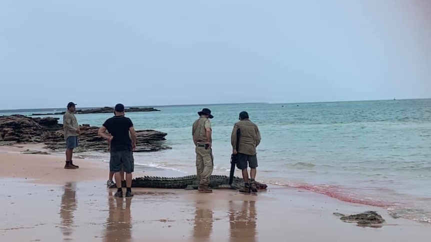 Authorities stand next to a 3.7-metre dead crocodile at Broome's Entrance Point beach.