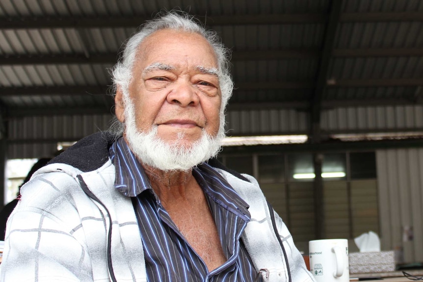 An Aboriginal man with grey hair and a beard looks at the camera.