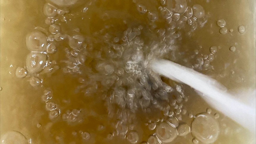 A tap running into a bowl of discoloured water.