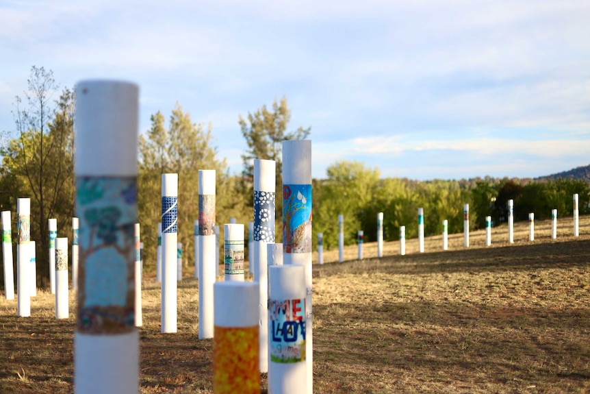 Dozens of white poles snake through a park in Canberra.