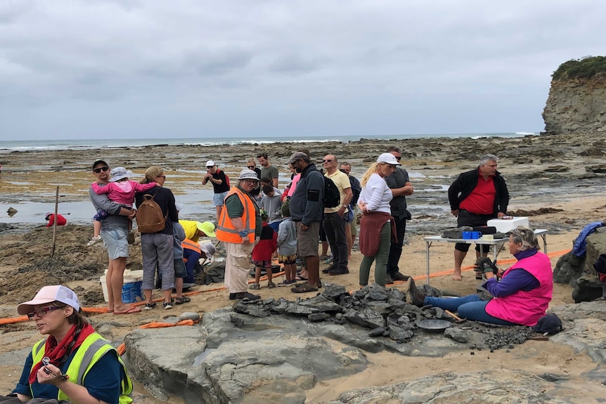 A group of palaeontologists and volunteers work at a dinosaur fossil dig site on a Victorian beach.