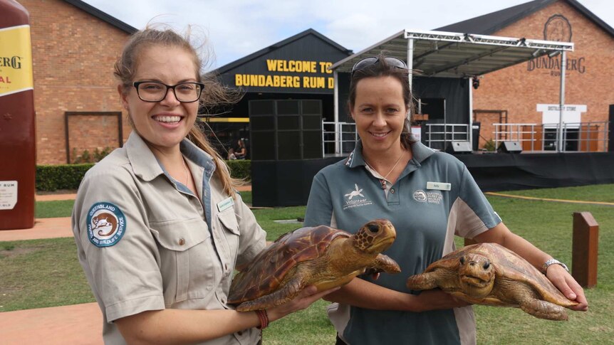 Queensland Parks rangers set up a turtle display for the Prince's visit to Bundaberg.