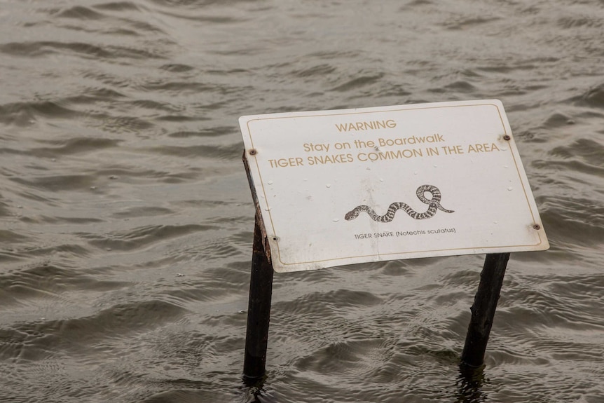 A sign warns of Tiger snakes at Lake Richmond