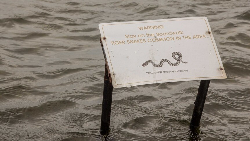 A sign warns of Tiger snakes at Lake Richmond
