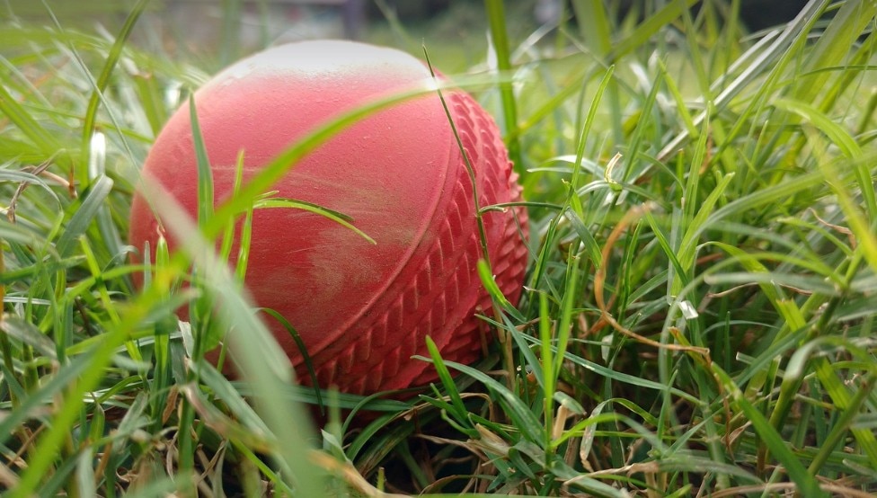 Is backyard cricket still a thing?