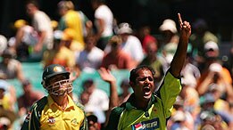 Naved-ul-Hasan appeals unsuccessfully for the wicket of Adam Gilchrist