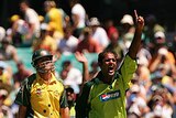 Naved-ul-Hasan appeals unsuccessfully for the wicket of Adam Gilchrist