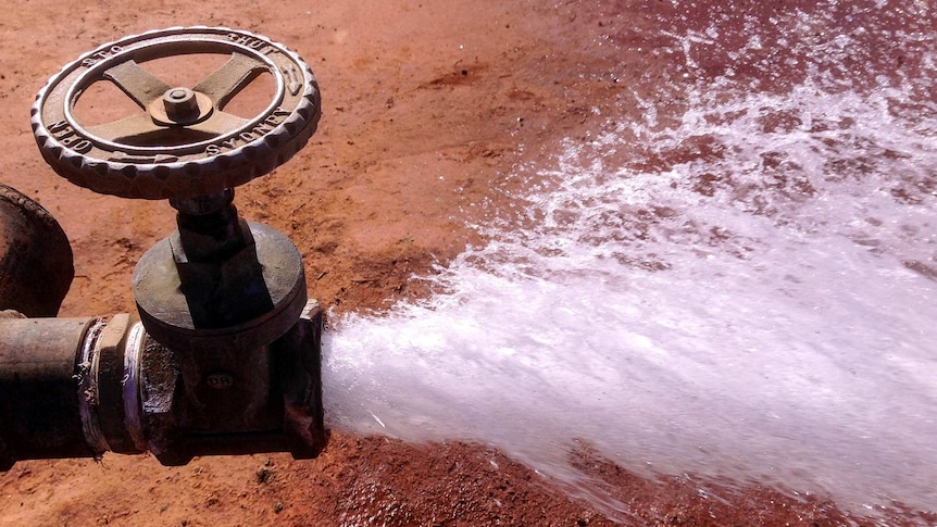 It is estimated about 4 million litres of water are being wasted because hundreds of bores remained uncapped.