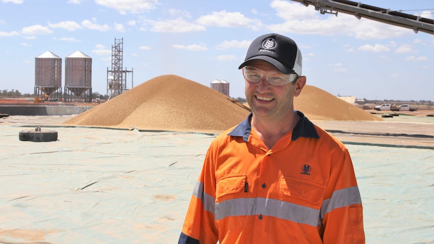 GrainCorp manager Brad Foster stands in front of a pile of chickpeas at the new grain facility at the CQ Inland Port