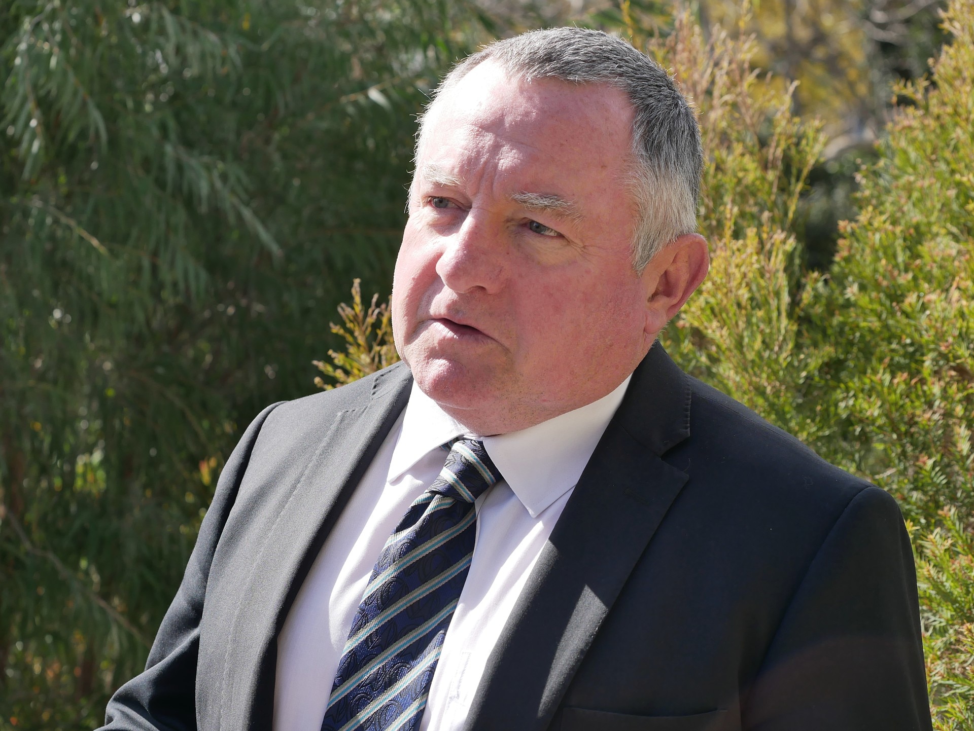 Un hombre vestido con chaqueta oscura, camisa de cuello blanco y corbata a rayas. Se para frente a los árboles.