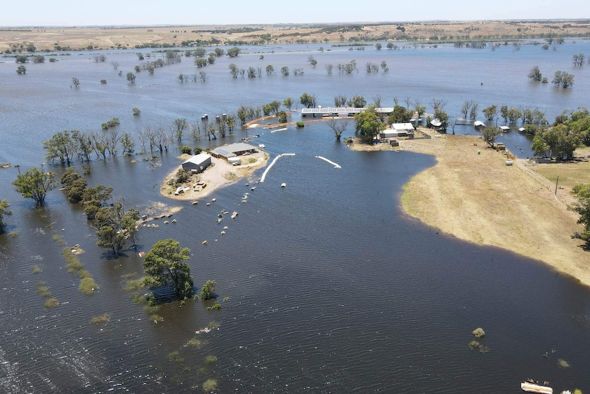 Flood waters surrounding a farm with trees in the water. 