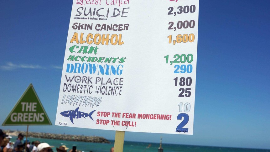 A protester holds a sign during anti-shark culling rally at Cottesloe Beach, Perth.