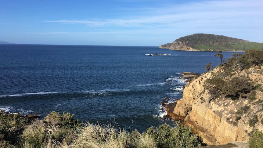 The view from Goat's Bluff out to Betsey Island and Storm Bay beyond