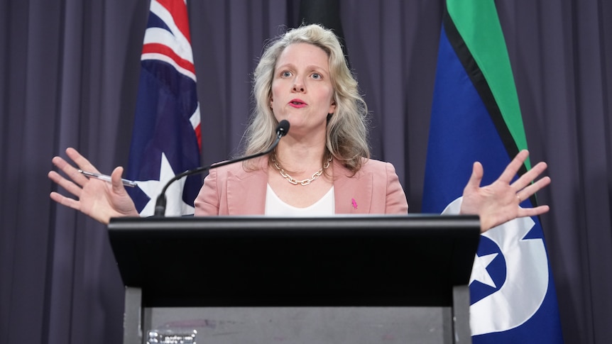 Clare O'Neil holding a press conference at Parliament House