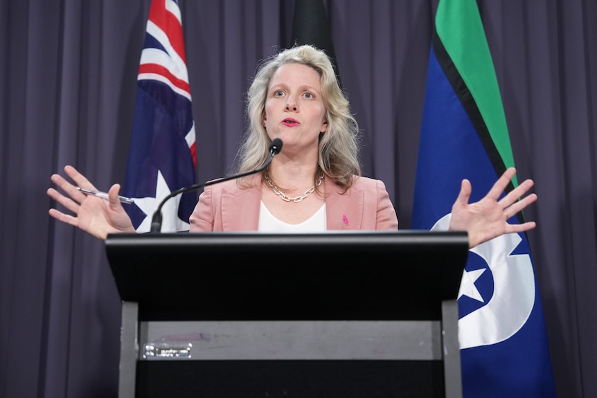 Clare O'Neil holding a press conference at Parliament House