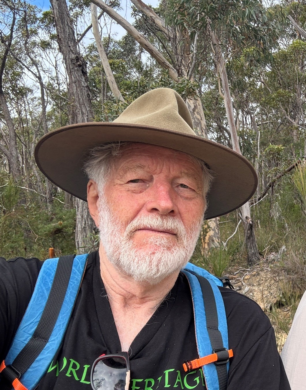Changing Australia: Wyn Jones and protecting the Blue Mountains and Wollemi Pine