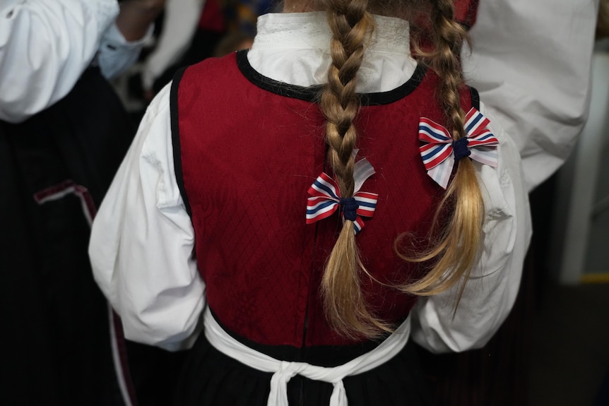 A photo of a girl from behind shows two plaited pigtails with red, blue and white ribbons.