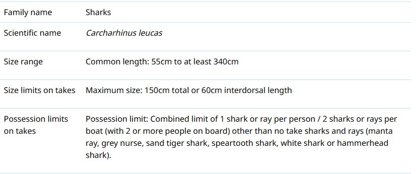 bull shark fishing rules