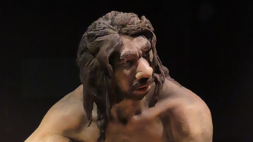 A model of an ancient human man