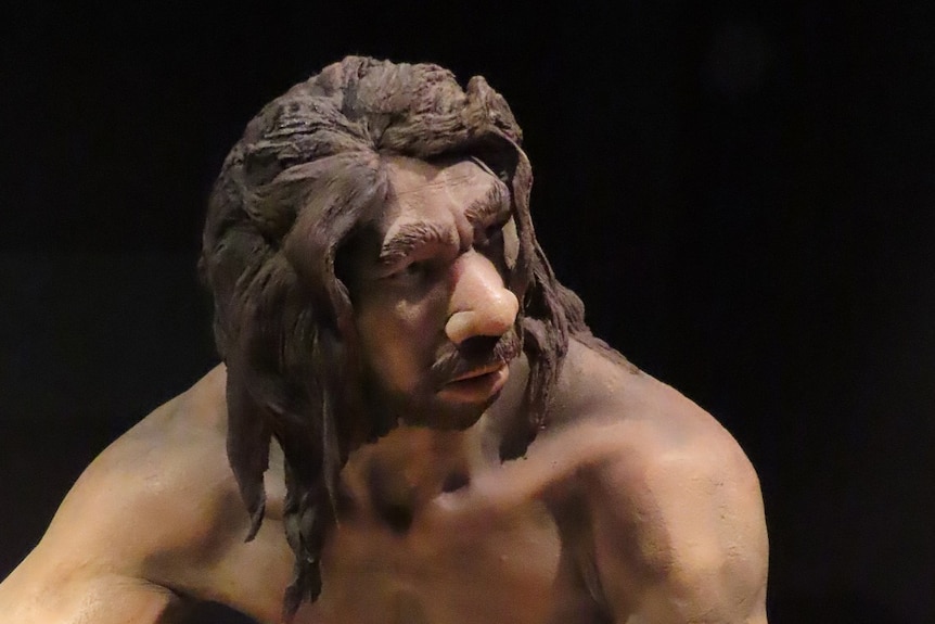 A model of an ancient human man