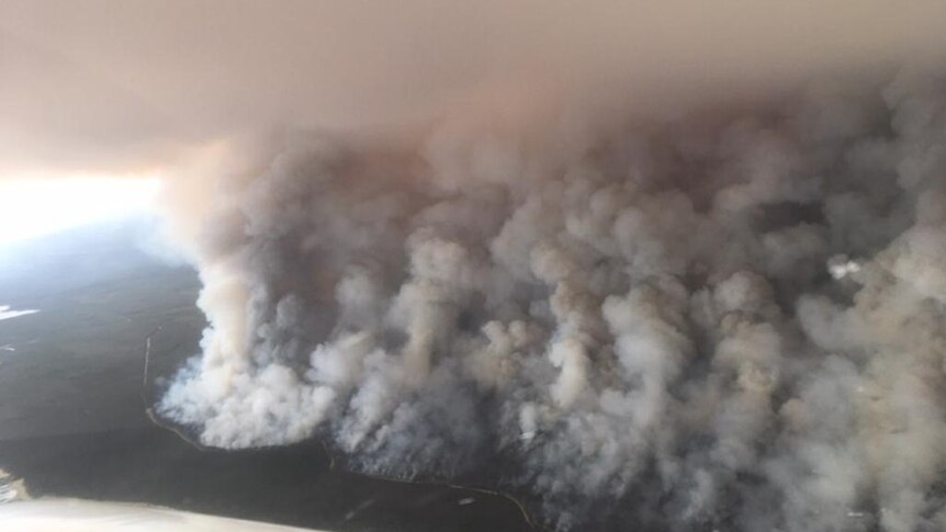 An aerial photo showing a huge cloud of grey smoke from a bushfire.