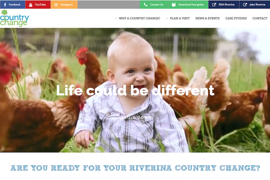 Screen shot of a web page featuring a baby and chickens.
