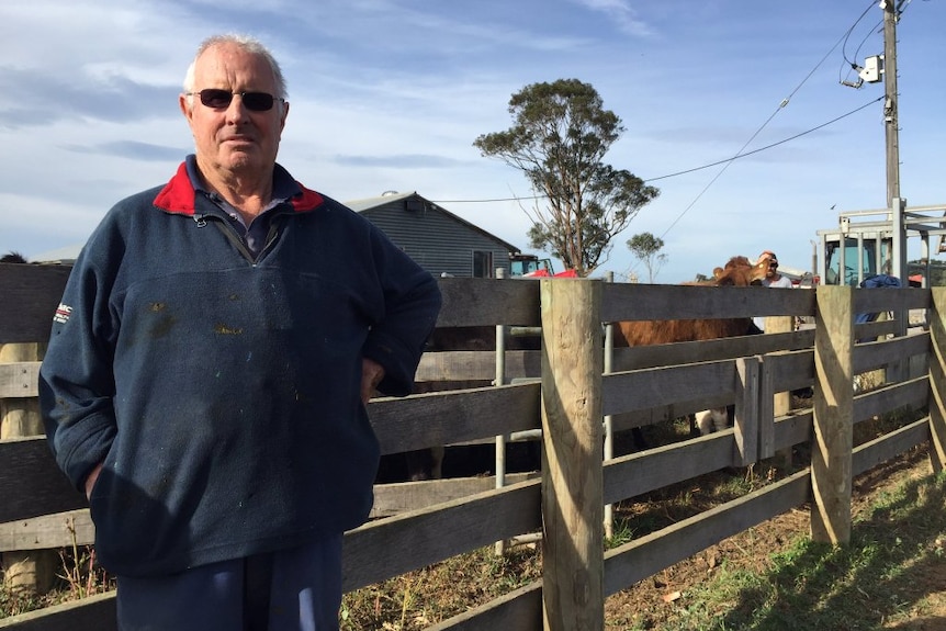 Graeme Anderson stands beside a fence in front of his cows.