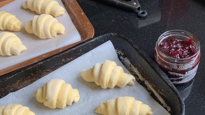 Unbaked croissants on a tray on a kitchen bench