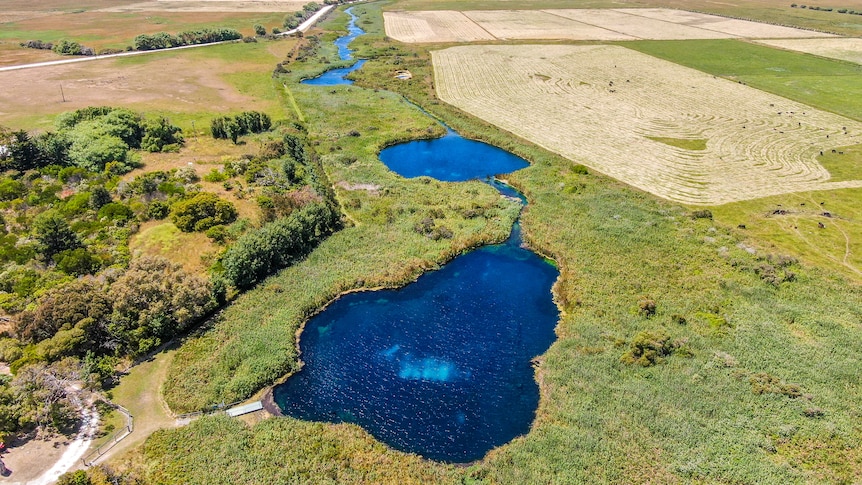 An aerial photo of a string of bright blue ponds surrounded by lush paddocks leading to the ocean.