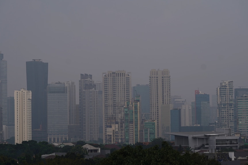 Tall buildings in Jakarta blanketed by pollution shot from afar.