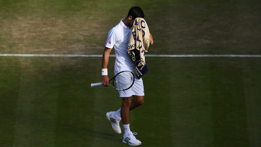 Back to the wall ... Novak Djokovic composes himself against Sam Querrey