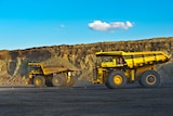 Two large yellow mining trucks on a road in a coal mine